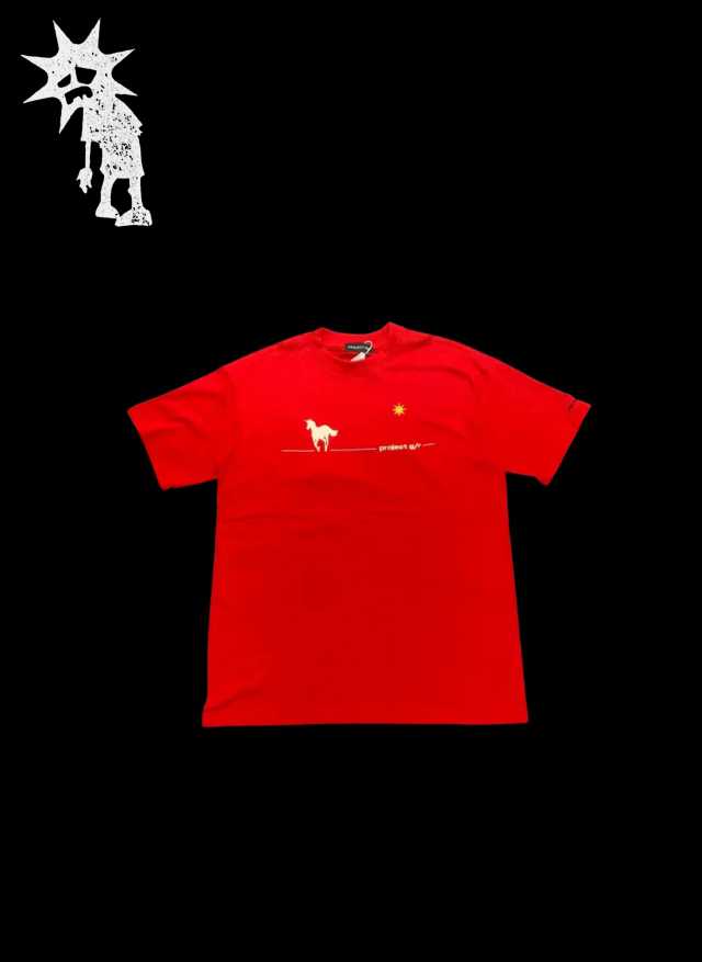 ‘PROJECT G/R’ TEE 𖦏